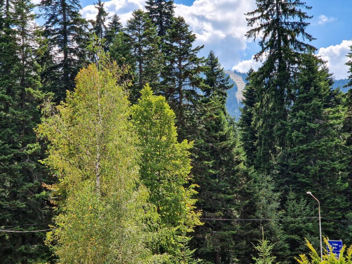 Sunny Apartment C25 Borovets Esterno foto